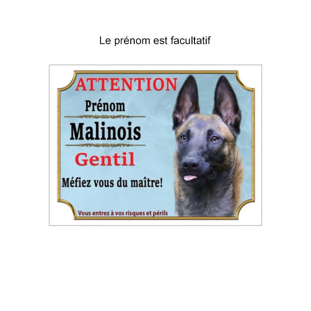 Plaque émaillée Humoristique 10x18cm – Fait Main Au Pochoir : 'CHIEN GENTIL MAITRE BI...'