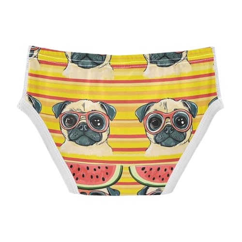 Wusikd Pug Dogs Boys' Underwear Cotton Big Eyes Boys Briefs Soft Toddler Underwear 2T2