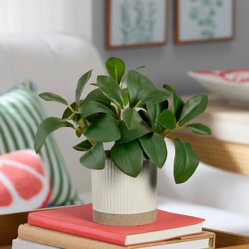 8 Inch Artificial Peperomia Plant in White Ceramic Pot