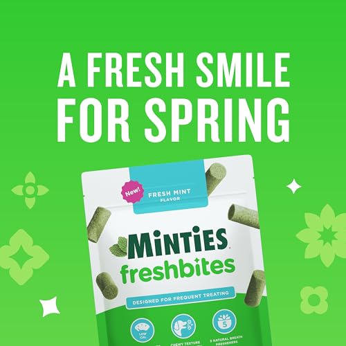 Image of Minties FreshBites Soft and Chewy Dental Treats, Low Calorie Natural Mint Flavored Dental Chews for Dogs, 100 Count, Dog Chews Clean Teeth, Fight Bad Breath, Removes Plaque and Tartar