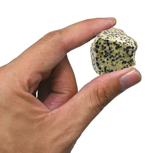 Image of Amazing Gemstone Dalmatian Jasper Raw Crystals and Healing Stones, Natural Rocks for Tumbling - DIY Raw Stones and Crystals, 2 Pieces