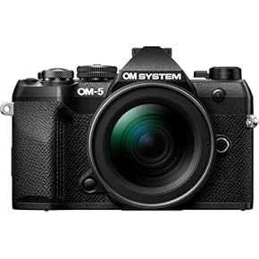 レンズセット Canon Nikon OLYMPUS デジタル ミラーレスカメラ Nikon（ニコン）のミラーレスおすすめ15選！Zシリーズのフルサイズ