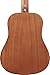 Ibanez PF2MH PF Performance 3/4-Size Dreadnought Acoustic Guitar - Open Pore Natural Bundle with Gig Bag, Tuner, Strap, Strings, Picks, Austin Bazaar Instructional DVD, and Polishing Cloth