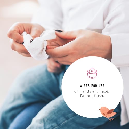 amazon brand - mama bear baby hand amp face wipes unscented 180 count 9 packs of 20