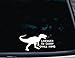 T-Rex Licensed to Carry Small Arms - 8" x 3 3/4" die cut vinyl decal for windows, cars, trucks, tool boxes, virtually any hard, smooth surface