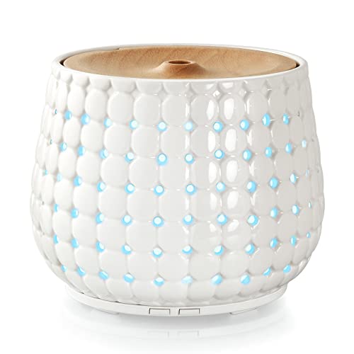 List Of The Best Ceramic Oil Diffuser [Top 10 Picks] BNB