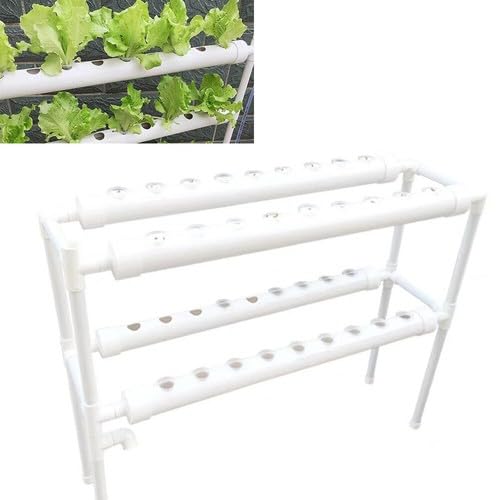 2 Couches Kit de Culture Hydroponique kit de Plantation Hydroponique Jardin Système D'arrosage Hydroponique 36 Positions Système Hydroponique Végétal,Convient pour la Maison, Jardin