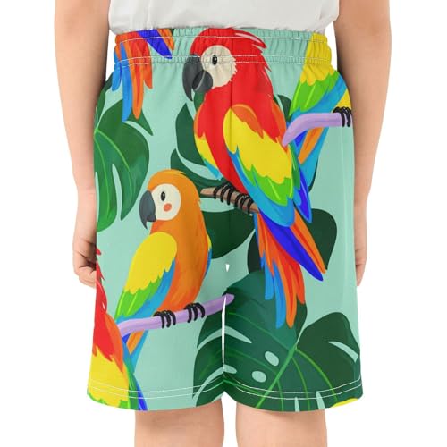 J JOYSAY Macaw Monstera Branch Aqua Boys Athletic Shorts Kids Youth Casual Shotrs with Pockets Elastic Waistband3