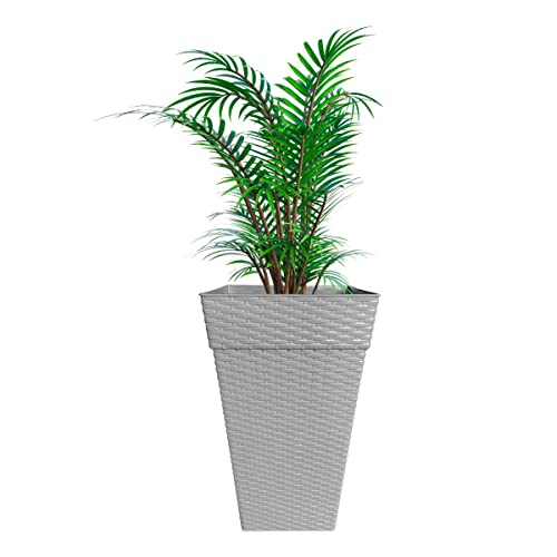 Vaso Rattan