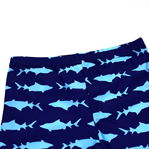 Image of Boys Two Piece Rash Guard Swimsuits Kids Long Sleeve Sunsuit Swimwear Sets