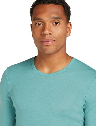 Icebreaker Men's Merino 175 Everyday Ls Crewe4
