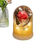 Genérico flores eternas – Ramo de rosas LED luz nocturna de cristal – Flores inmortales con luz | Regalo de cumpleaños Navidad