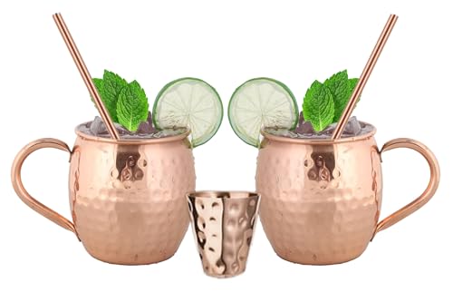 BOLD & DIVINE Moscow Mule Copper Mugs - Set of 2, 100% HANDCRAFTED - Food Safe Pure Copper Solid Mugs - 16 oz Gift Set with Premium Quality Cocktail Straws & Shot Glass!
