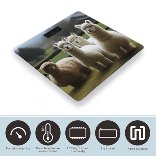 Balanza digital Alpaca Family para baño con vidrio templado miniatura 3