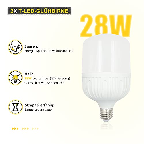 TFSKY Hintergrund Stützsystem Fotostudio Set mit Softbox, 2X Hintergrundstoff(weiß, grün), 2X LED Dauerlicht, Studioleuchte Studiosets für Fotostudio Produkt Porträt sowie Video Fotografie – Bild 4