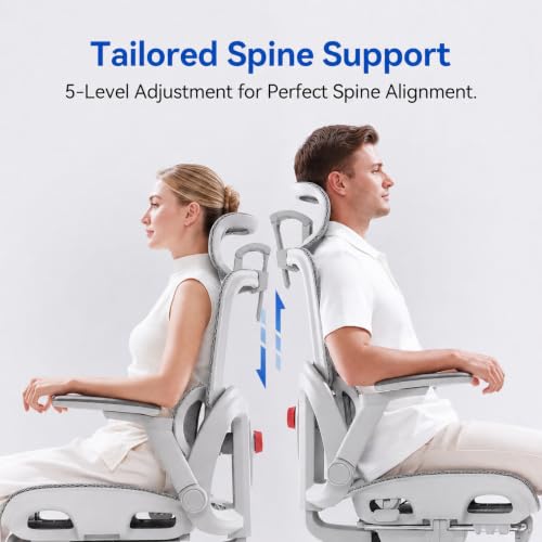 Image of SIHOO B300 Pro Ergonomic Office Chair with Footrest, 4-Way Lumbar Support | 6D Armrests, Adjustable Backrest &seat depth , 3D Headrest, Breathable Mesh, for Long Work Sessions,Grey