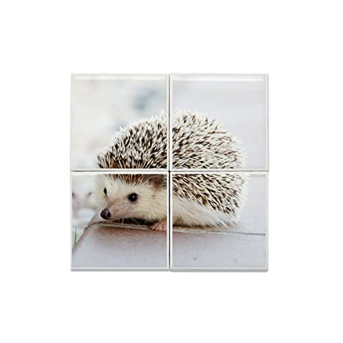 Carreaux céramique hérisson lot de 4 dalles murales décoratives nature 30x30 cm