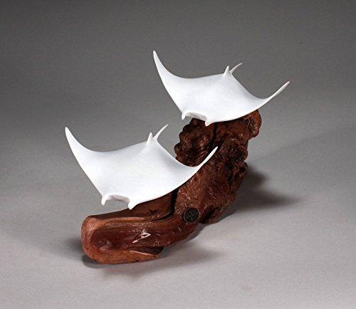 Manta Ray Duo Sculpture by John Perry White Statue on Wood 8in Tall - Thumbnail 4