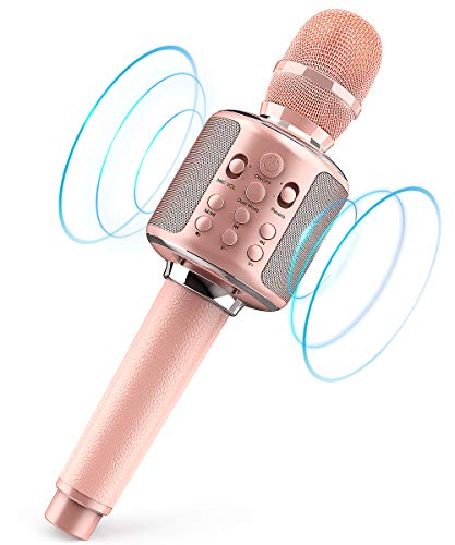 portable mic with speaker price