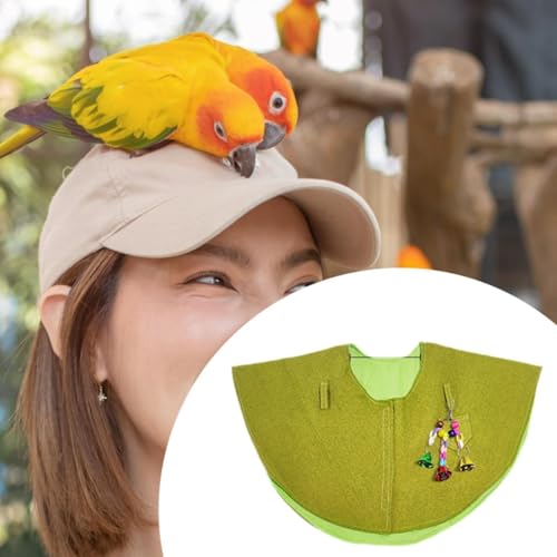 Couche de protection pour perroquet pour renforcer votre lien unique - 6