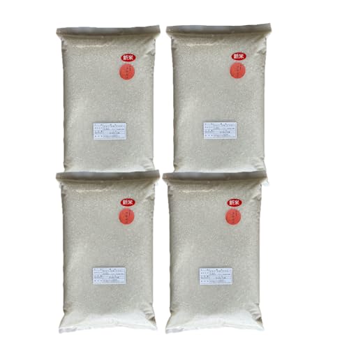 ߘa7Nx RY AP{m 20LyƑAƖpzʏ2A3ȓɔiyjj