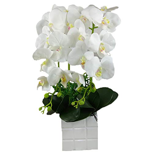Calcifer 10 Pcs Artificial Real Touch Latex Phalaenopsis Orchid Stem Bouquets Artificial Flowers For Wedding Party Home Garden Decor (White&Yellow Heart) #TOP6