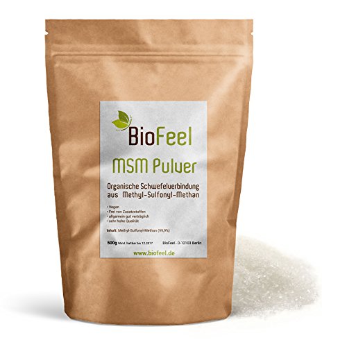 Preisvergleich Produktbild BioFeel - MSM Pulver, 500g