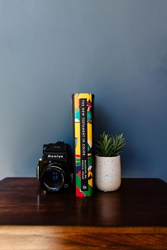 Image of The New Testament in Color: A Multiethnic Bible Commentary