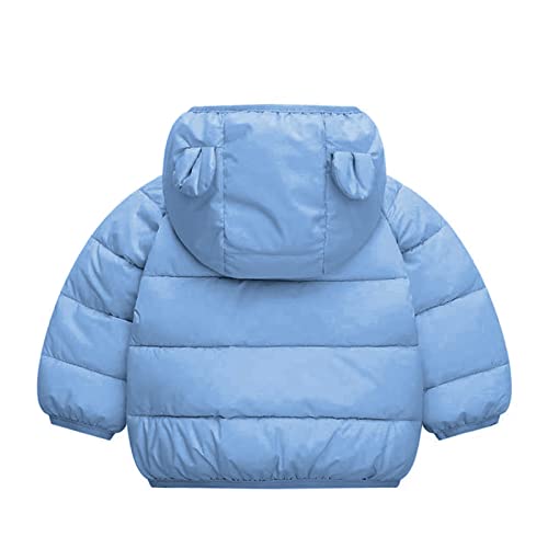 Toddler Boys Girls Hooded Puffer Jacket Long Sleeve Zipper 𝗕ear Ear Coat Winter Warm Windproof Top with Pocket2