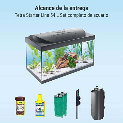 Miniatura 5 de Tetra Starter Line Led 54l Acuario De Inicio Grande, Bombilla Led Con Modo Luz Diurna Nocturna