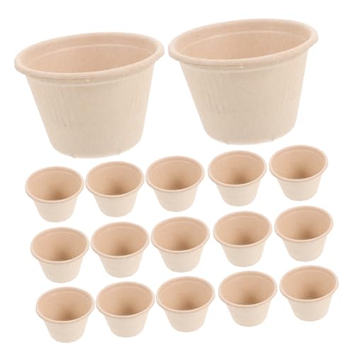 Cemaystic ĝăACXN[Jbv 50 pvfU[g{E pr  ⃈[Ogp O؃Jbv (J[L)