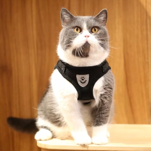 Coleira Peitoral para Cachorros e Gatos com Colete Reflexivo Regulável e Guia de Passeio (PRETO, XL)