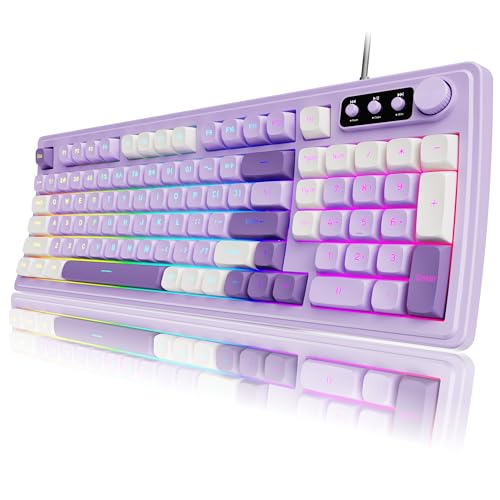 SEUNKWANG EWEADN V97 ���킢���N���[�~�[�L�[�{�[�h �L���R���s���[�^�[�L�[�{�[�h RGB�o�b�N���C�g�t�� ���f�B�A�m�u �Ȗʃ{�f�B �É��L�[�{�[�h MAC Xbox PC�Q�[�}�[�p �p�[�v��