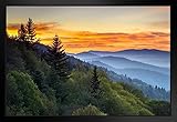 Great Smoky Mountains National Park Sunrise Photo Photograph Beach Sunset Palm Landscape Pictures Ocean Scenic Tropical Nature Photography Paradise Matted Framed Wall Art Decor 26x20
