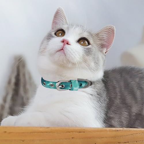 Collier réglable bleu ajustable chiens et chats petite taille sécurité - 6