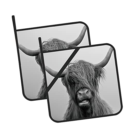 Highland Cow Pot Holders Set Of 2 Kitchen Heat Resistant Potholder For Microwave Cooking Baking Oven End Dishes And Bbq #TOP12