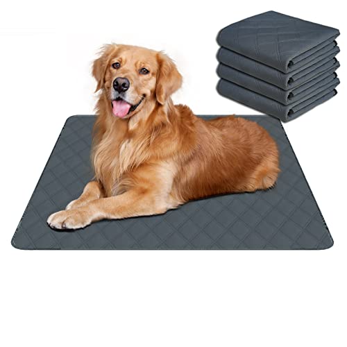 Image of RIOUSSI Washable Pee Pads for Dogs, Reusable, Absorbent, Leakproof, Non Slip Pet Puppy Pads for Potty Training. Dark Gray, 20x28 Inch(4pack)