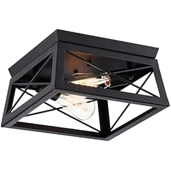Faymart lighting 2-Light Black Square Ceiling Light Fixture - 2 Bulb Caged Farmhouse Ceiling Light for Bedroom Hallway Closet Kitchen Dinning Room 12 Inch, E26, Dimmable
