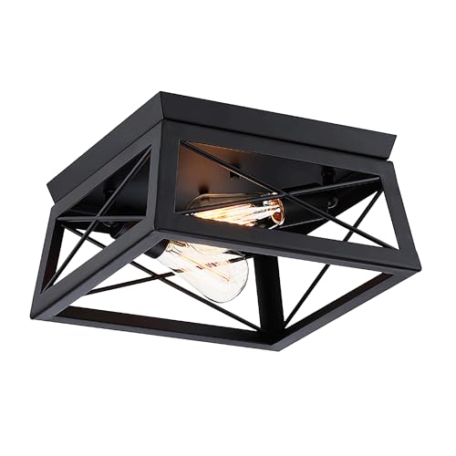 Faymart lighting 2-Light Black Square Ceiling Light Fixture - 2