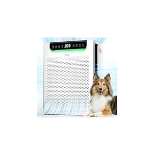 Purificadores de aire para habitaciones grandes del hogar, cubren hasta 2600 pies cuadrados con filtros lavables, potente modo turbo, pantalla de calidad del aire PM2.5, modo de sueño de 22 dB