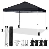VINGLI 10x10 Pop Up Canopy Tent with Carry Bag and Sandbags, Outdoor Gazebo Canopy 10x10 Party Tent Commercial for Party, Event (Black)
