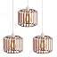 Round Cage Rose Gold 3 Pack