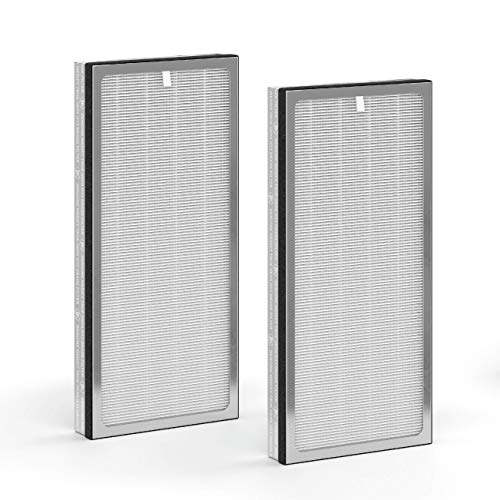 Medify Air MA-40 Air Purifier Medical Grade True HEPA H13 Genuine Replacement Filter (ME-40, 2-Pack)
