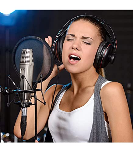 Luling Arts Boom Arm Suspension Mic Boom Arm Heavy Duty Microphone Arm For Blue Yeti, Hyperx Quadcast, Adjustable Boom Mic Stand Desk With Pop Filter, 1/4“-3/8“-5/8“ Adapter, Mic Mounts,Broadcast #TOP7