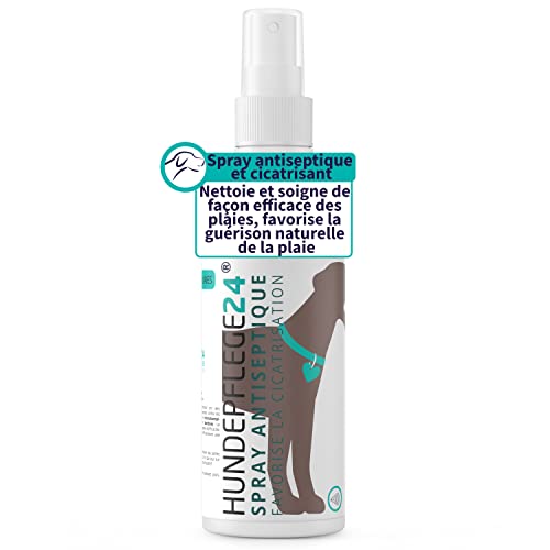 Hundepflege24 Spray Antiseptique pour Chiens et Chats 150ml - Nettoie et soigne de façon des plaies, favorise la guérison naturelle de la plaie - Antibactérien, desinfectant, cicatrisant, antiseptique Cover