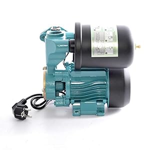 Dambat Hauswasserwerk WZI250 Gartenpumpe 2 Liter