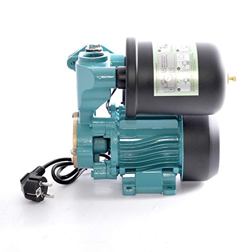 Dambat Hauswasserwerk WZI250 Gartenpumpe 2 Liter