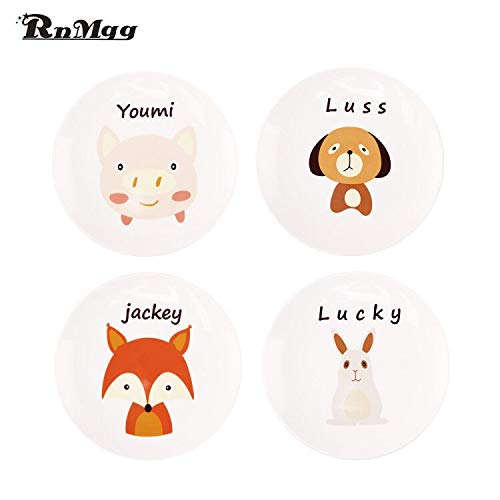 RnMgg Extra large 10-Inch Porcelain Dinnerware Plates Set Pizza Pasta Serving Plates northern