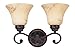Anastasia 2 Light Vanity Light