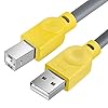 Fansjoy USB B MIDI-kabel voor instrumenten [1,5 m/5 FT], USB A naar USB B-kabel, MIDI kabel USB, compatibel met MIDI…